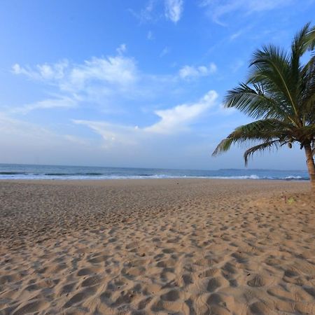 Mangrove Beach Cabana 탕갈레 외부 사진