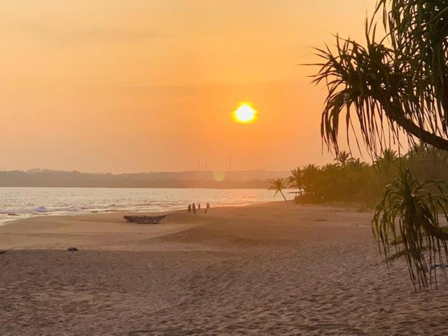 Mangrove Beach Cabana 탕갈레 외부 사진