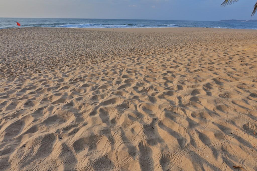 Mangrove Beach Cabana 탕갈레 외부 사진