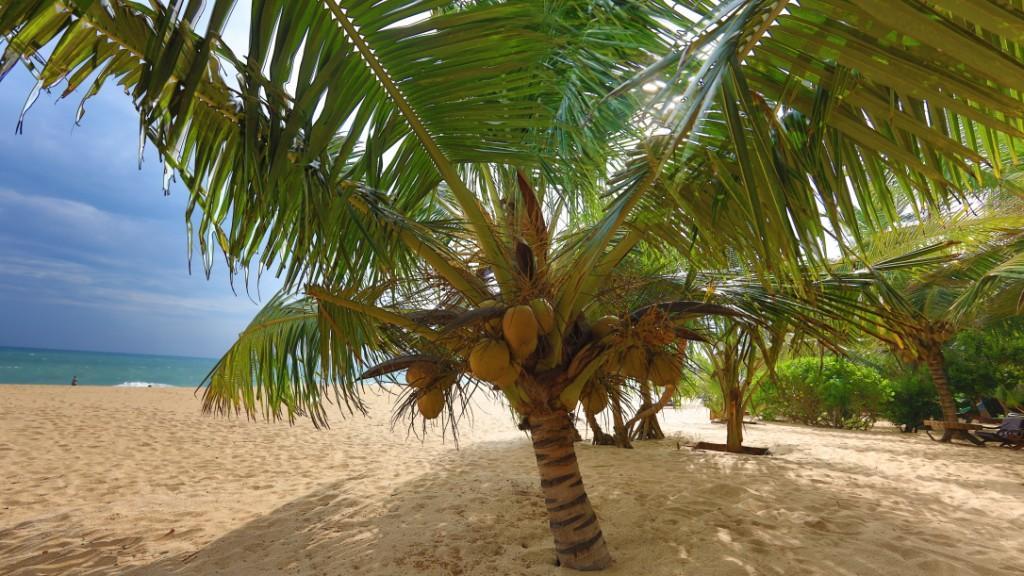 Mangrove Beach Cabana 탕갈레 외부 사진