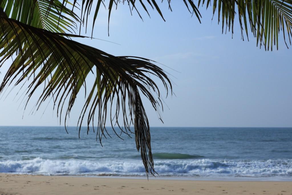 Mangrove Beach Cabana 탕갈레 외부 사진