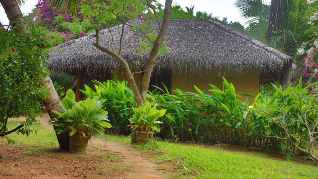 Mangrove Beach Cabana 탕갈레 외부 사진
