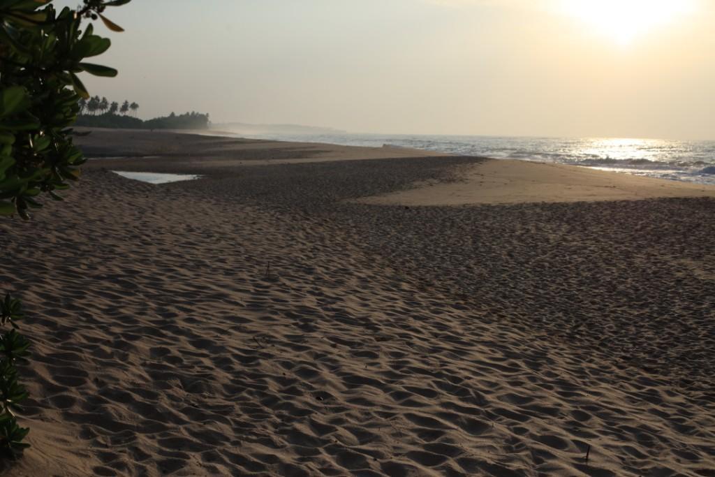 Mangrove Beach Cabana 탕갈레 외부 사진