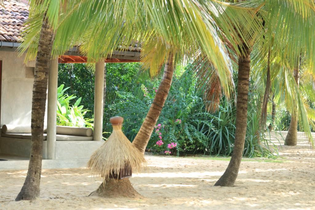 Mangrove Beach Cabana 탕갈레 외부 사진