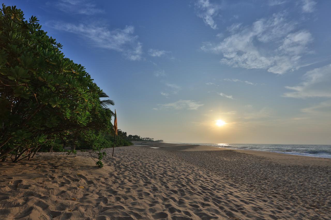Mangrove Beach Cabana 탕갈레 외부 사진