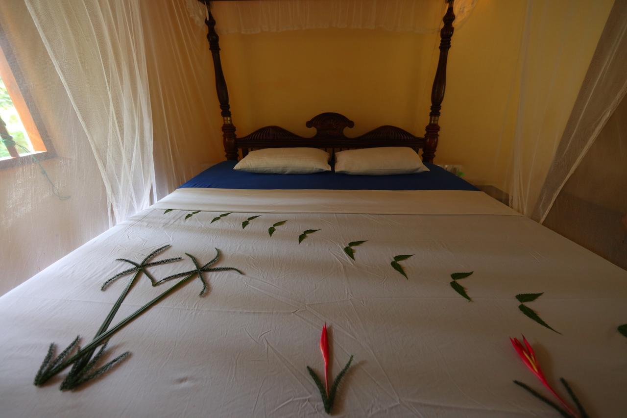 Mangrove Beach Cabana 탕갈레 외부 사진