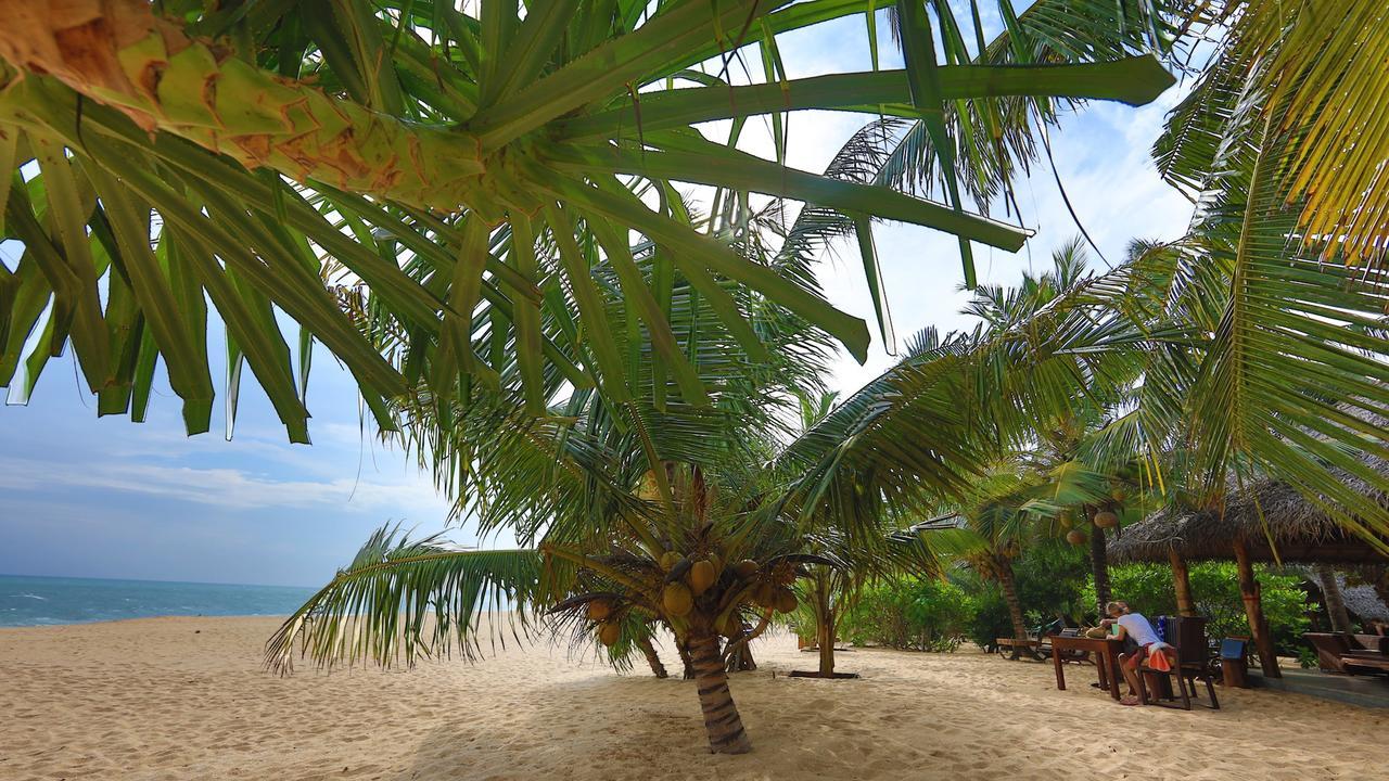 Mangrove Beach Cabana 탕갈레 외부 사진