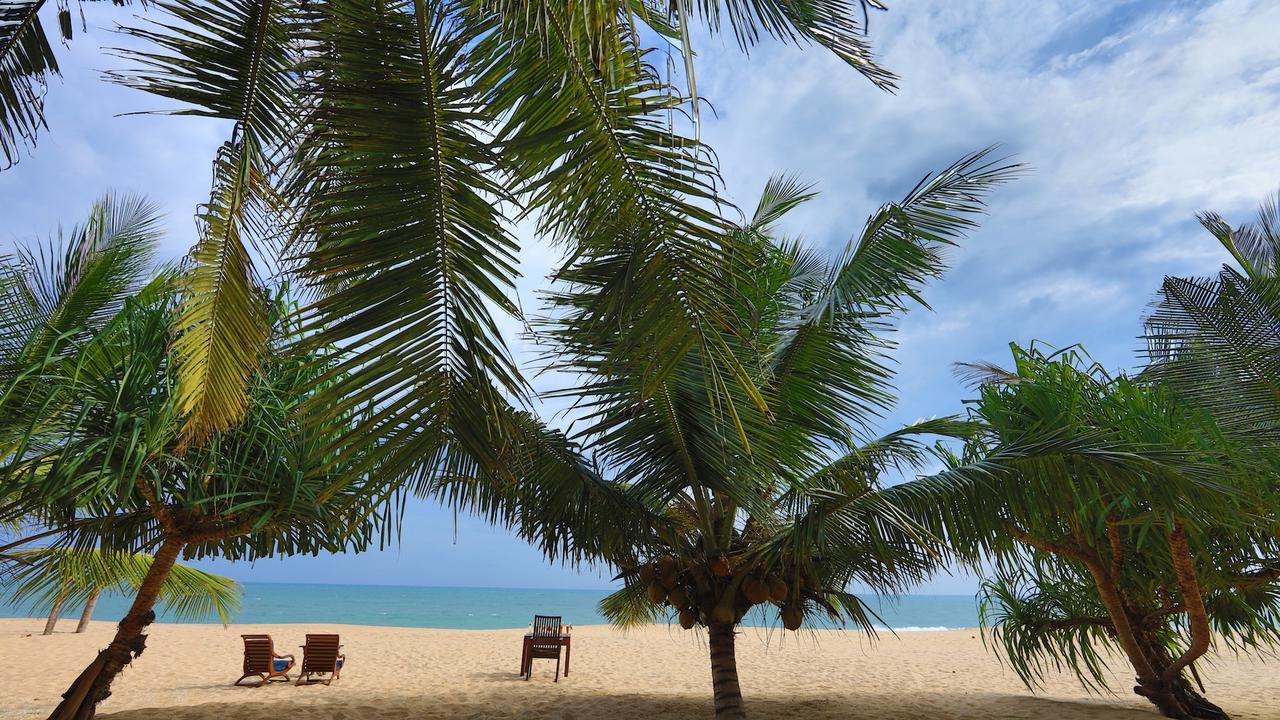 Mangrove Beach Cabana 탕갈레 외부 사진