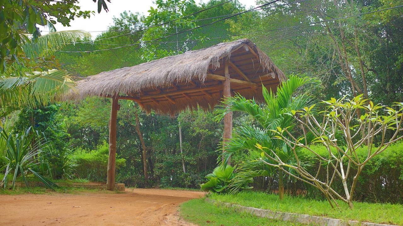 Mangrove Beach Cabana 탕갈레 외부 사진